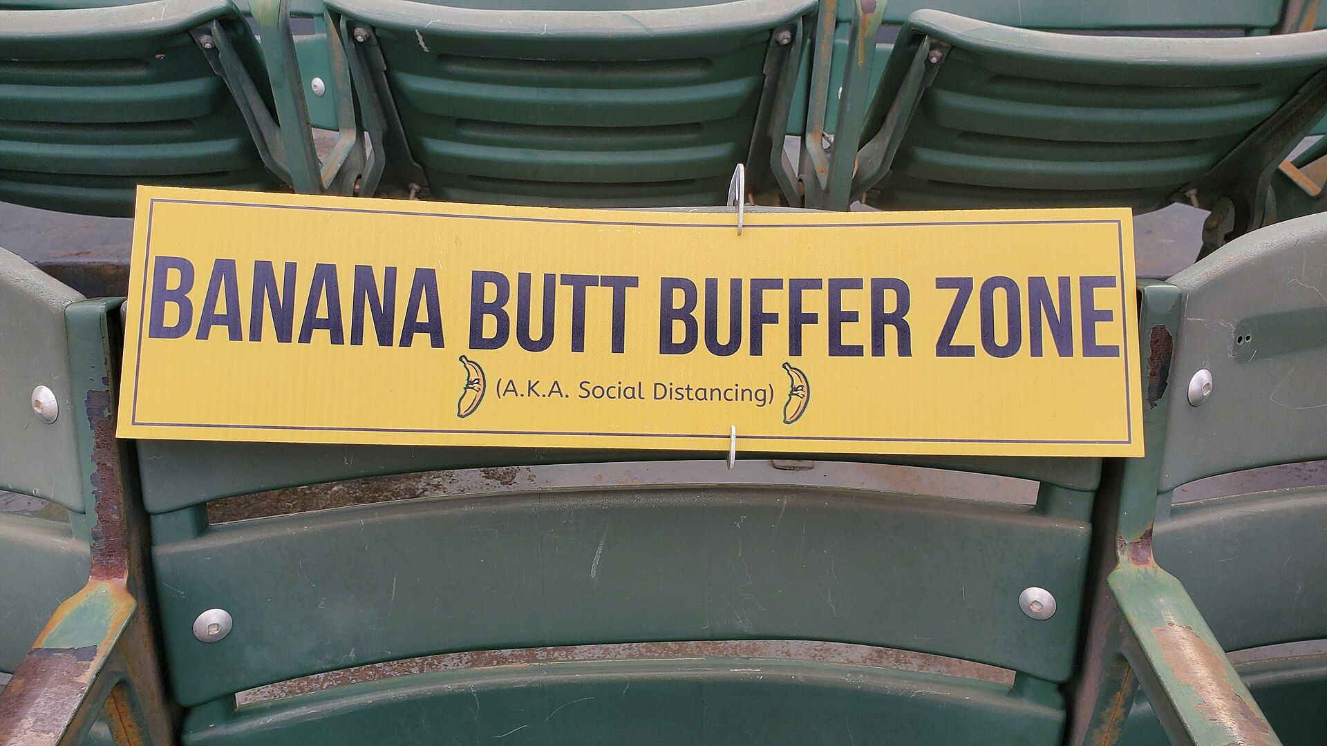 Banana Ball Team Names: The Story Behind All Six BBCL Teams
