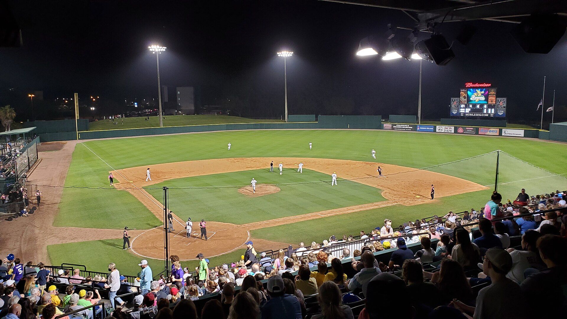 Meet the Savannah Bananas: Roster, Stars and the Story Behind the Team